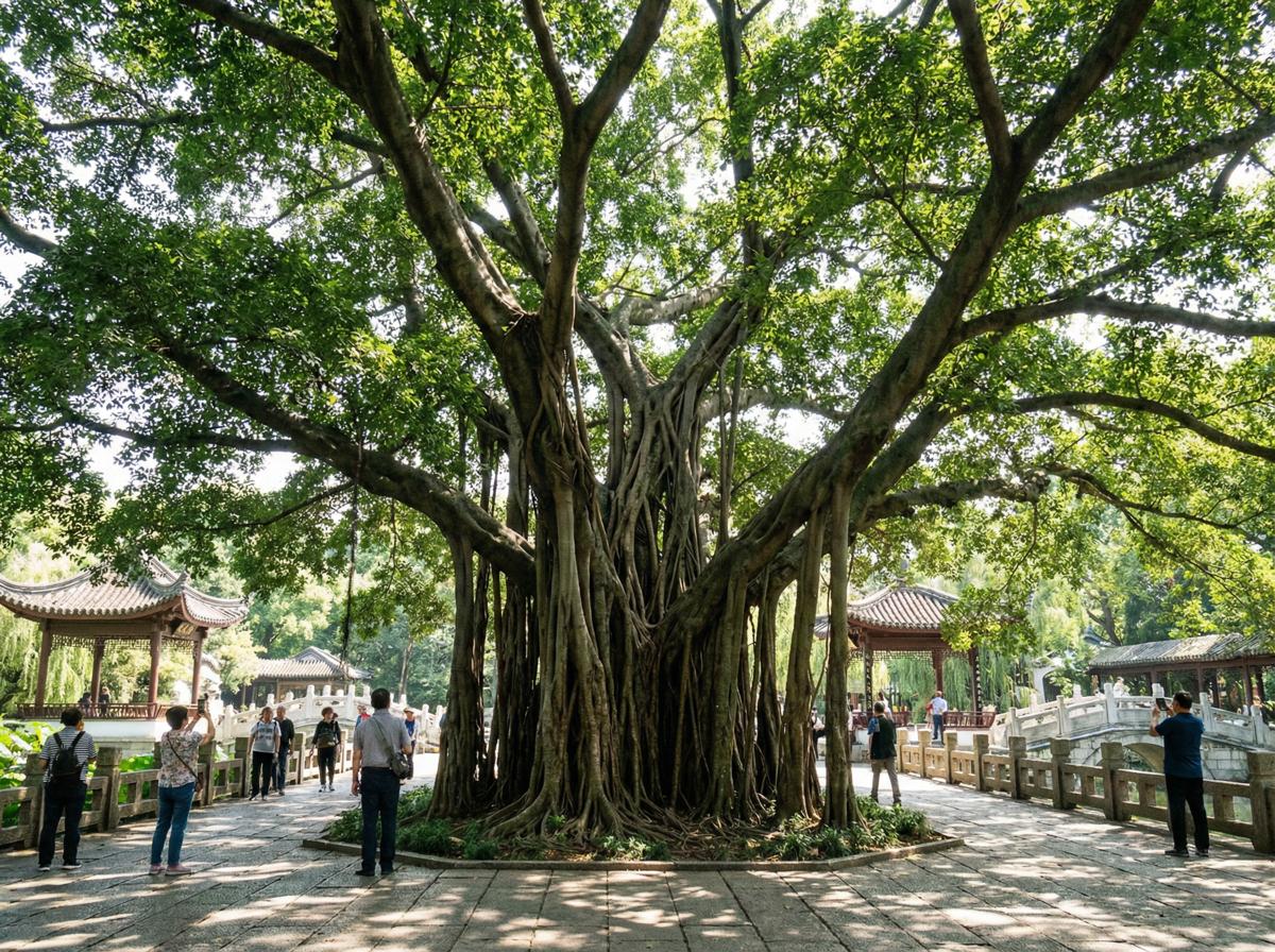 黑丝社区顾问王雅琴